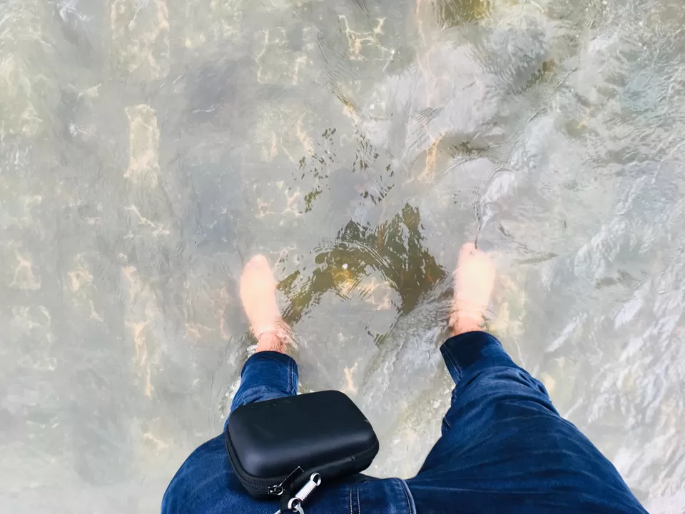 Photo of Mukundra Tiger Reserve Forest Office (DCF), Sector C, Shrinath Puram, Kota, Rajasthan, India by Abhishek Tanwar