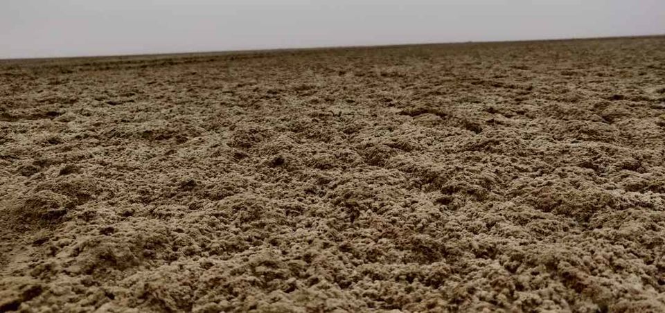 Photo of Sambhar Salt Lake, Rajasthan by Abhishek Tanwar