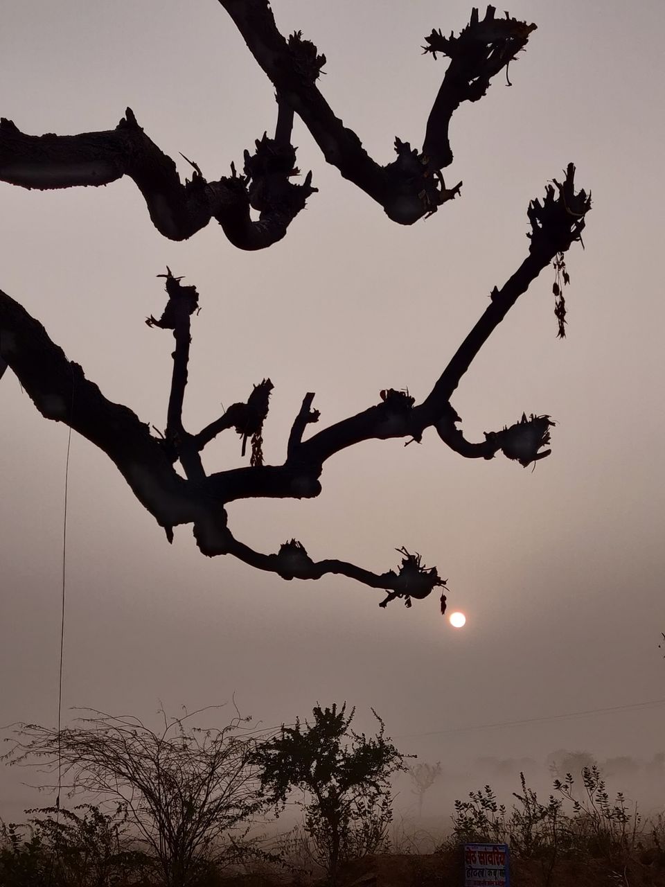 Photo of Jaipur - Sambhar Lake Road Trip by Abhishek Tanwar