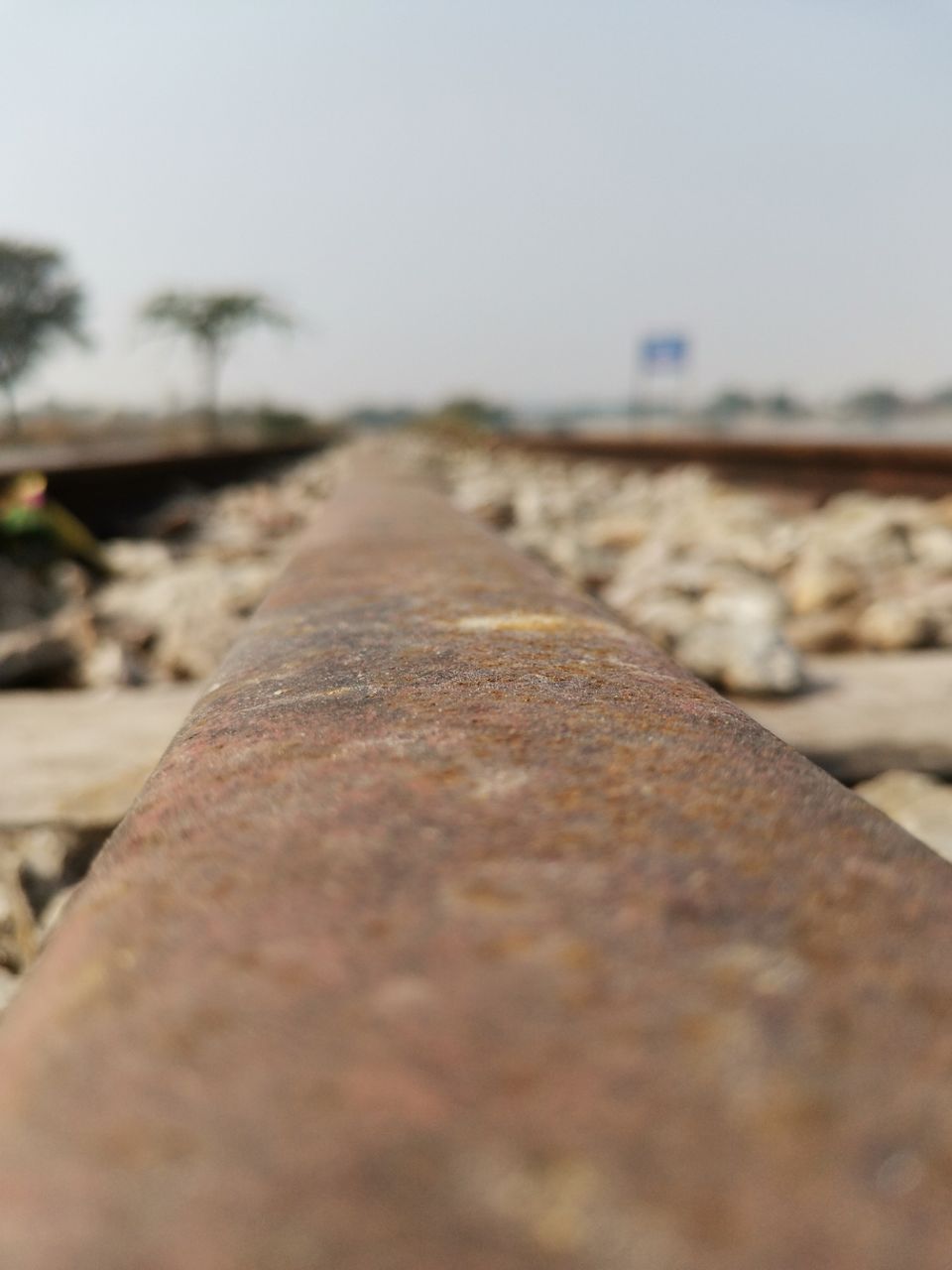 Photo of Jaipur - Sambhar Lake Road Trip by Abhishek Tanwar