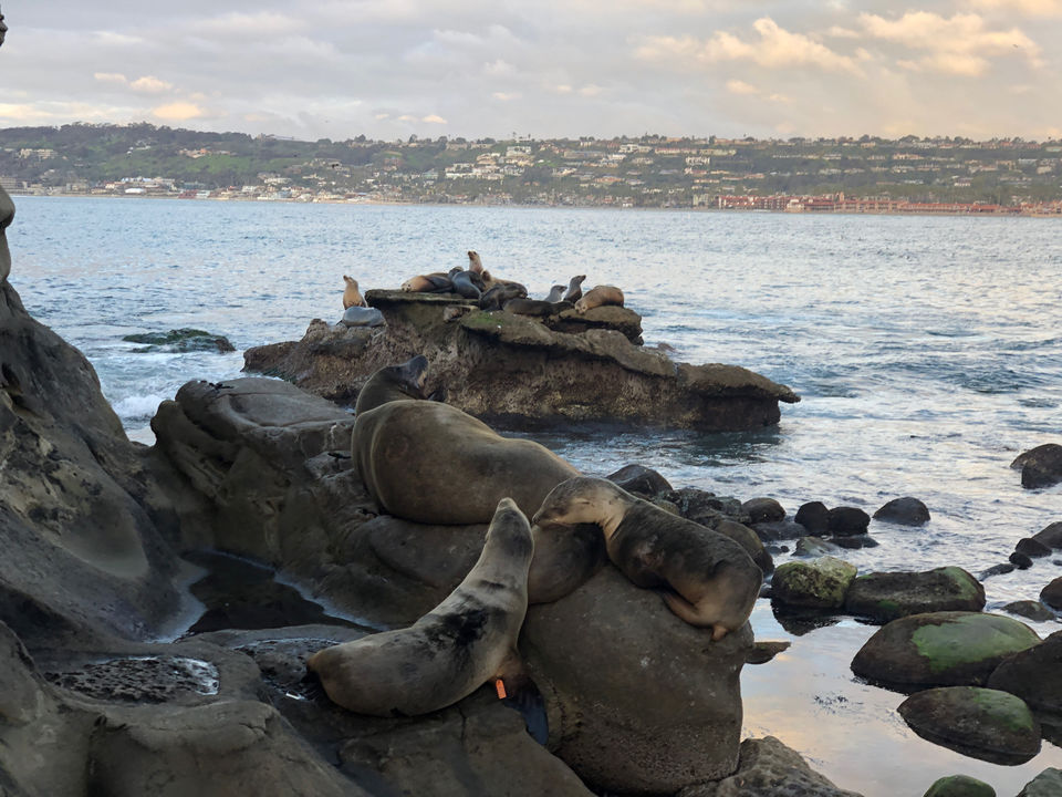Photo of San Diego, CA, USA by Desi Tourist