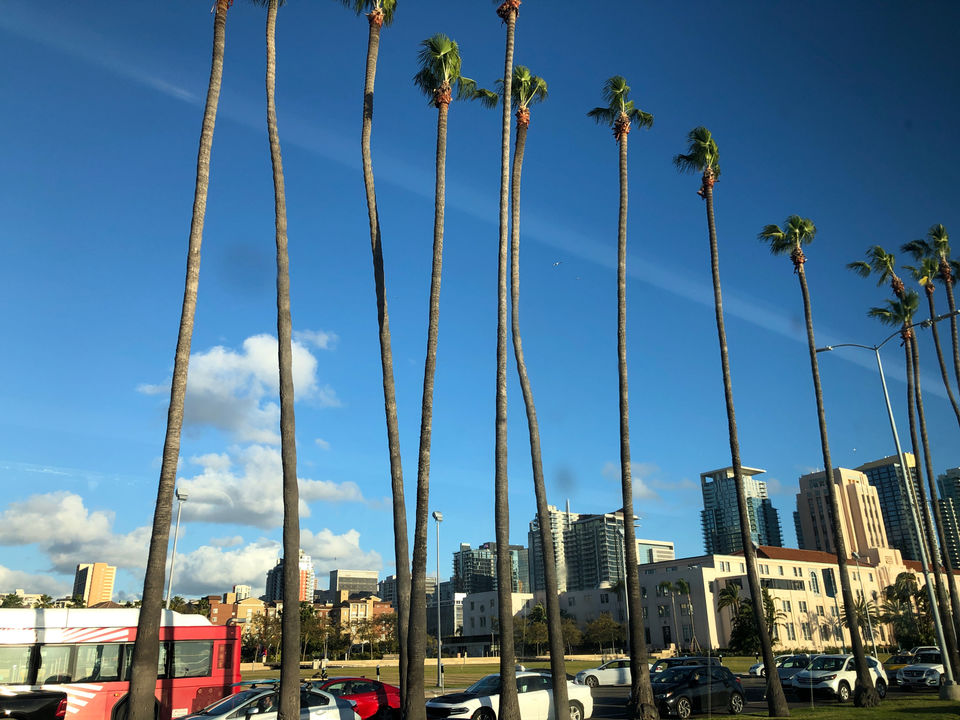Photo of San Diego, CA, USA by Desi Tourist