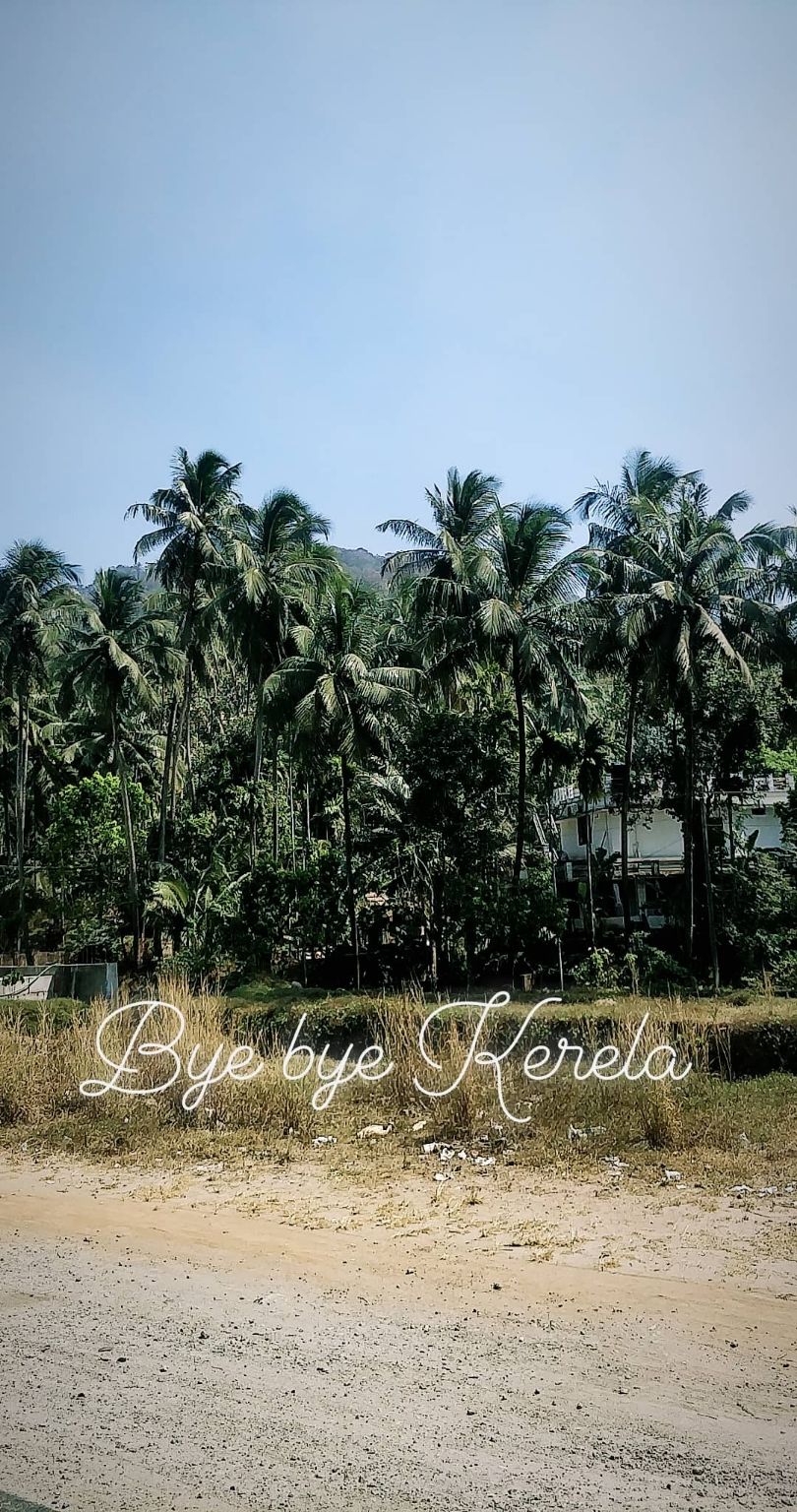 Photo of Instant SOLO Trip - Kerala by saran raj