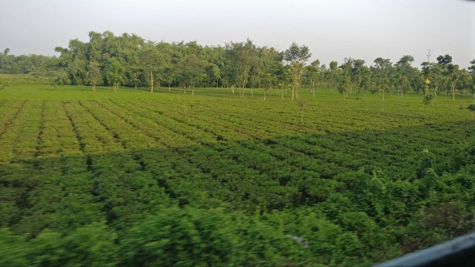 Photo of Siliguri, West Bengal, India by Varun Prabhu