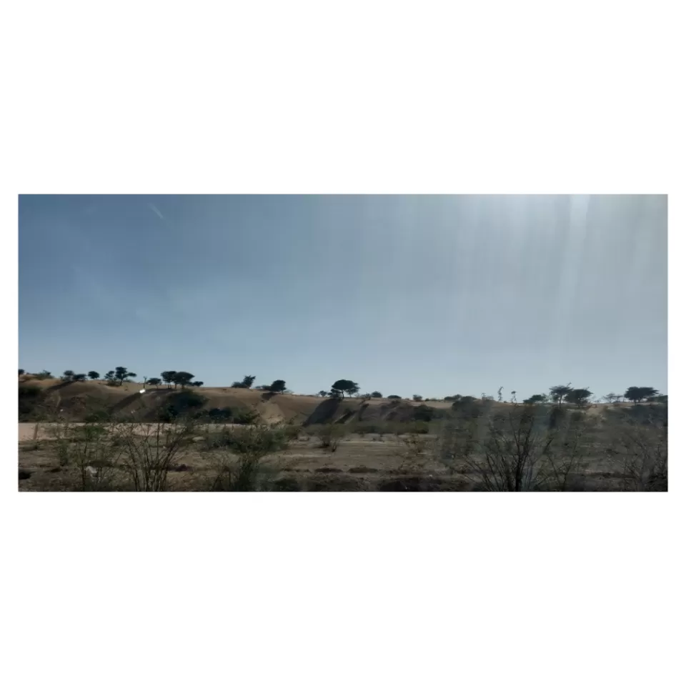 Photo of Jodhpur by Dev Batra