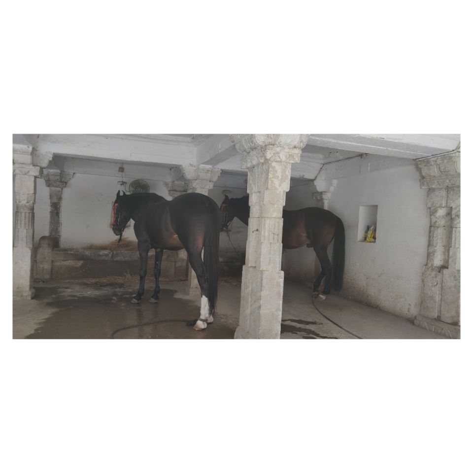 Photo of Trip To City Of Lakes Udaipur by Dev Batra