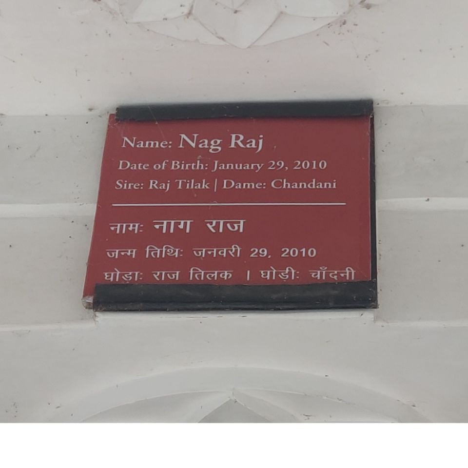Photo of Trip To City Of Lakes Udaipur by Dev Batra