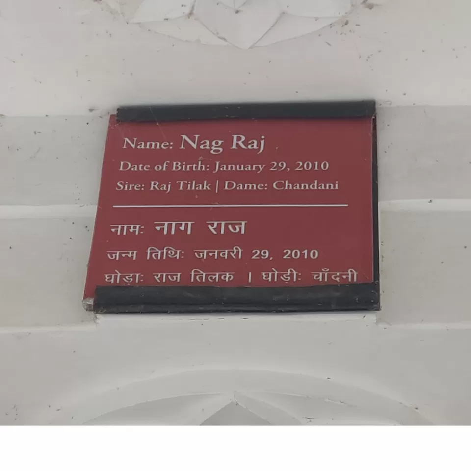 Photo of Trip To City Of Lakes Udaipur by Dev Batra