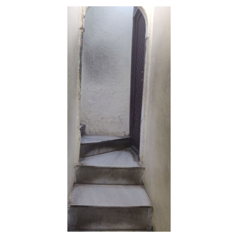Photo of Trip To City Of Lakes Udaipur by Dev Batra