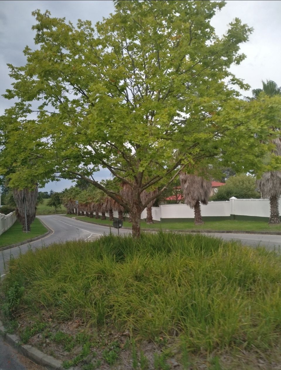 Photo of Protea Hotel by Marriott George King George, King George Drive, King George Park, George, South Africa by Dr. Gunjan Patel