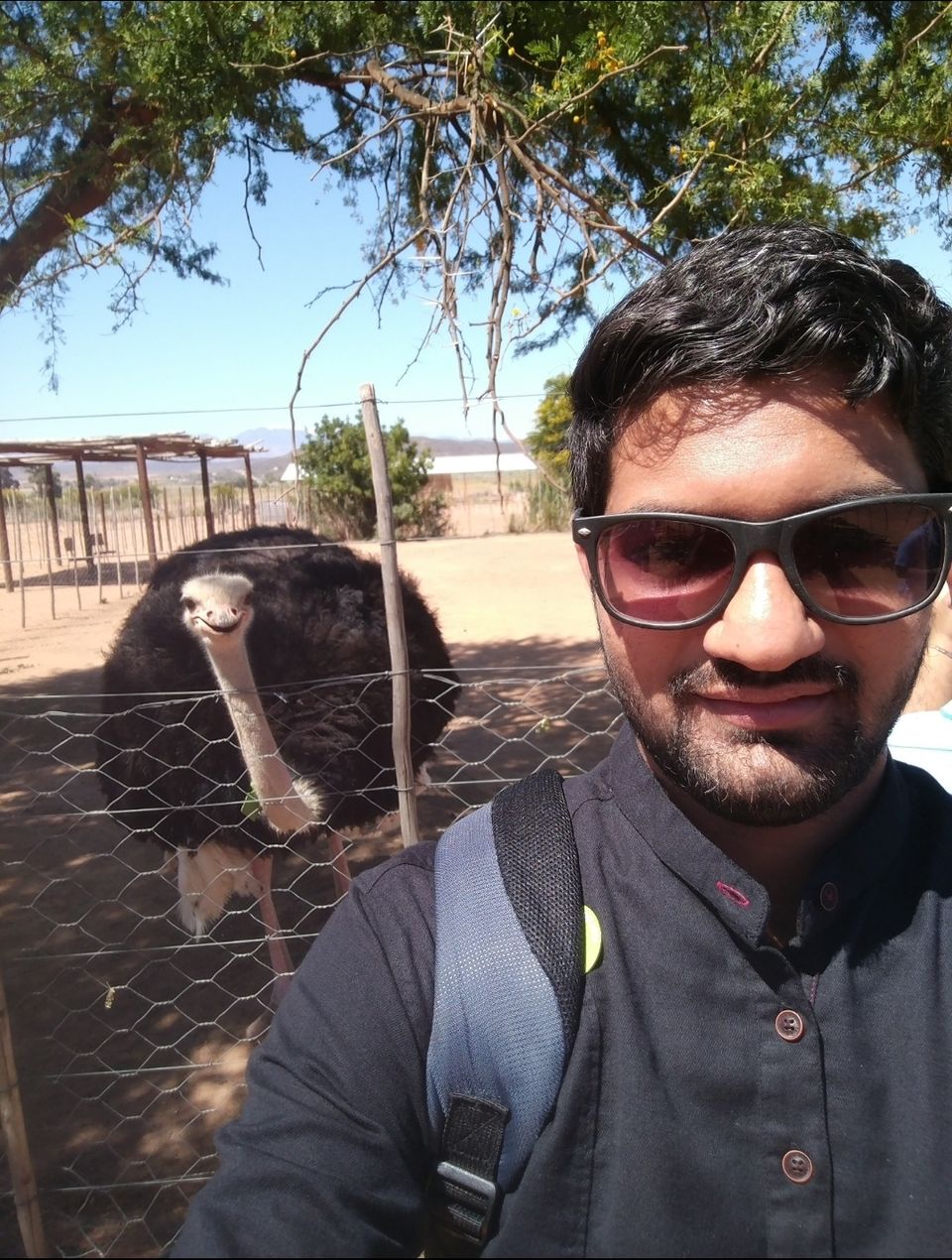 Photo of Safari Ostrich Farm, R328, Oudtshoorn, South Africa by Dr. Gunjan Patel