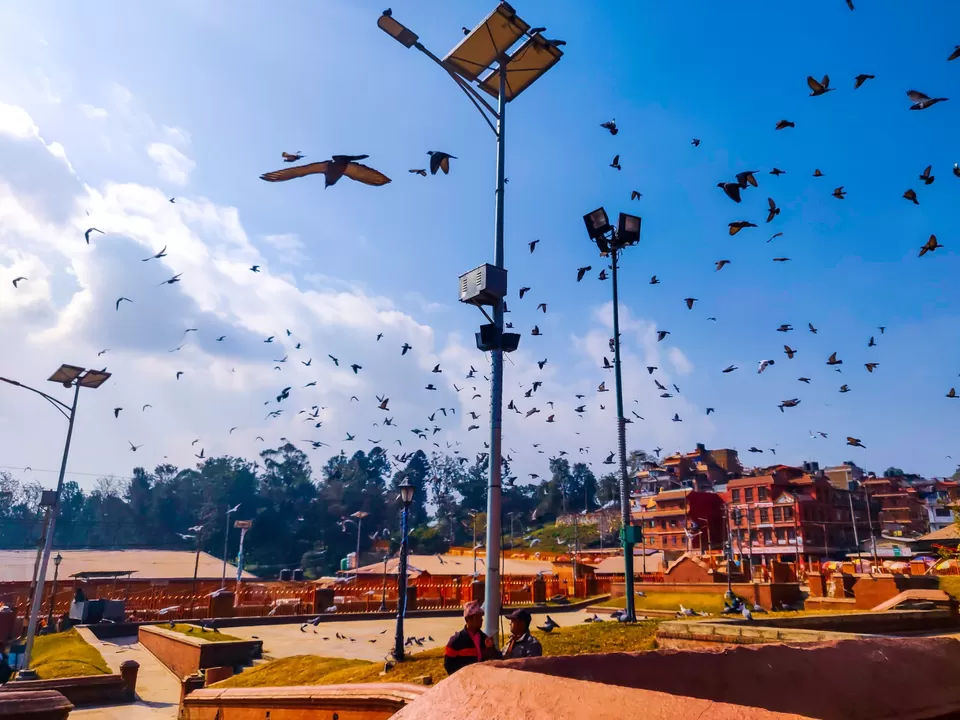 Photo of Pashupatinath Temple, Pashupati Nath Road, Kathmandu, Nepal by Banashree Das