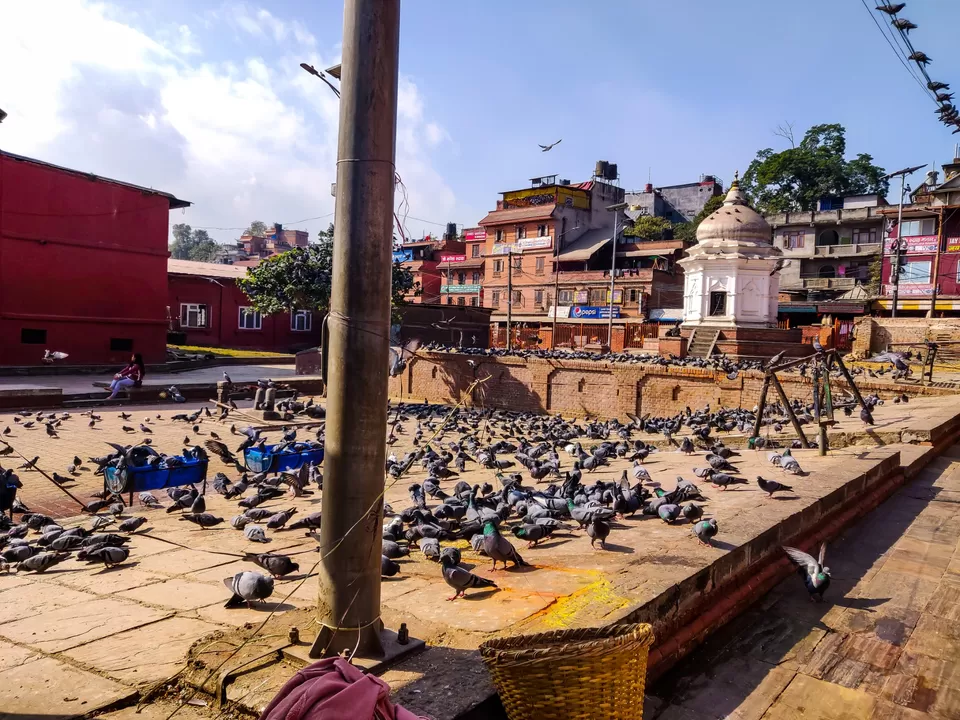 Photo of Pashupatinath Temple, Pashupati Nath Road, Kathmandu, Nepal by Banashree Das