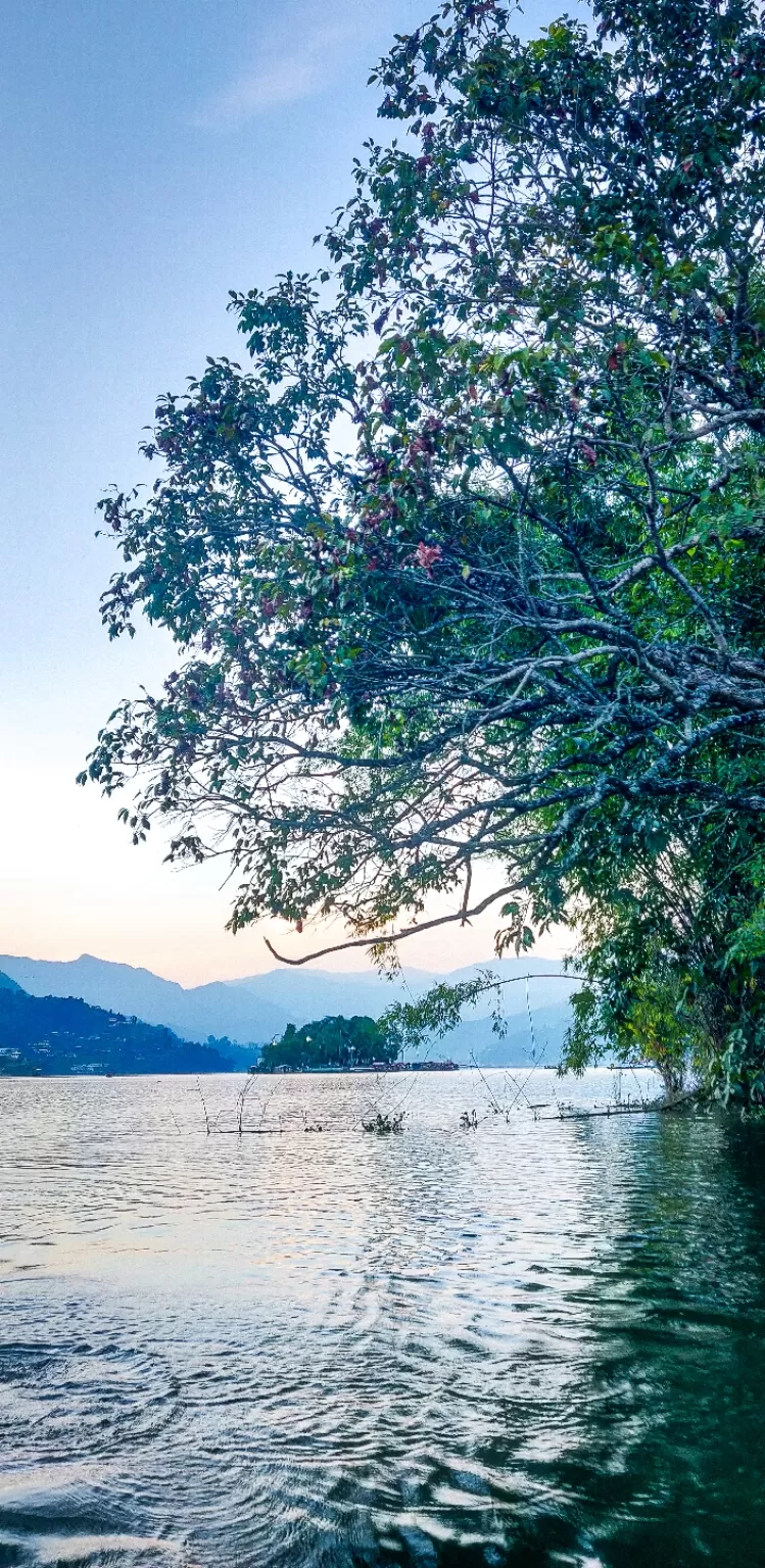 Photo of Phewa Lake, Pokhara, Nepal by Banashree Das