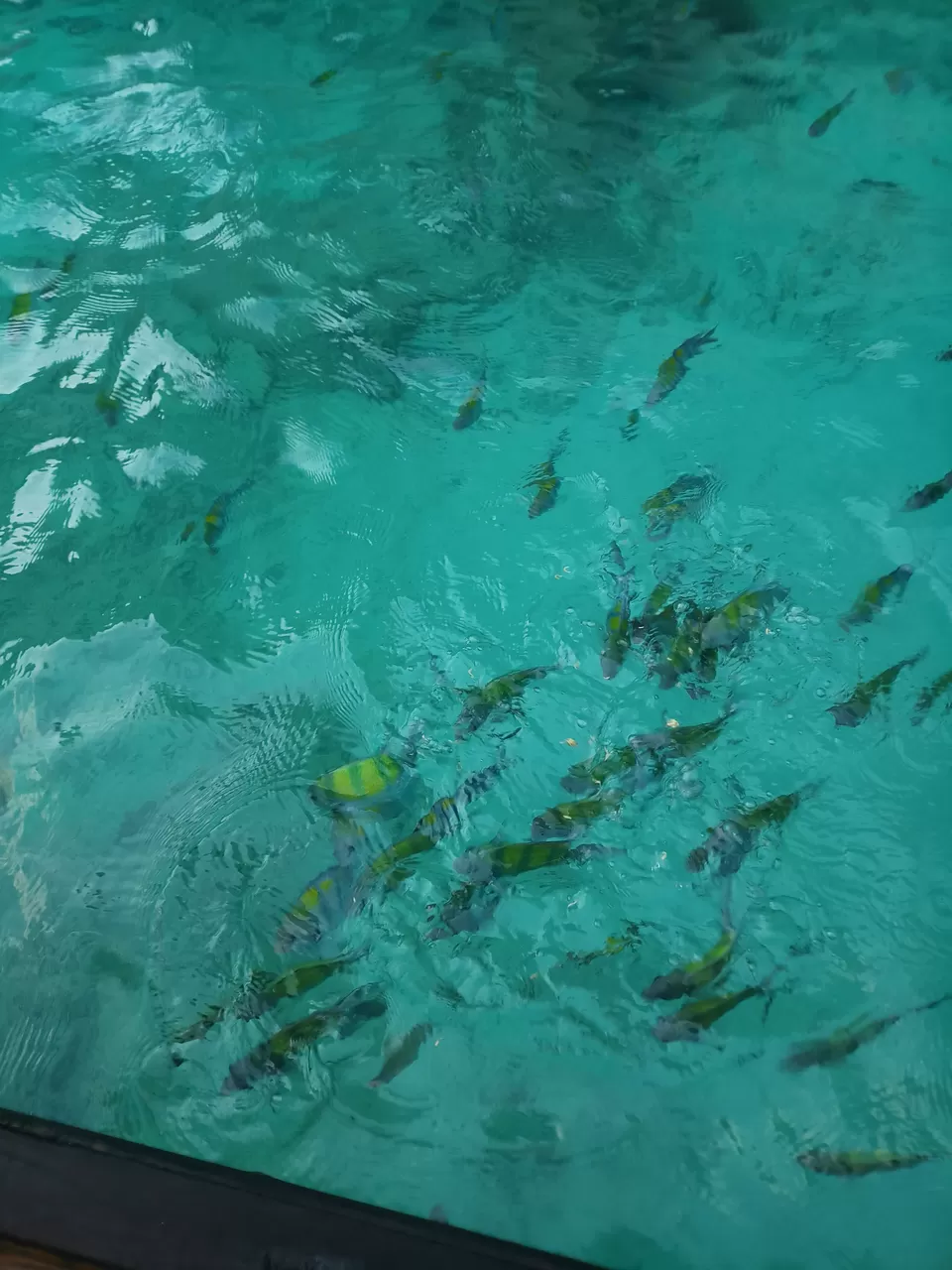 Photo of Maya Bay, Thailand by Kunal V