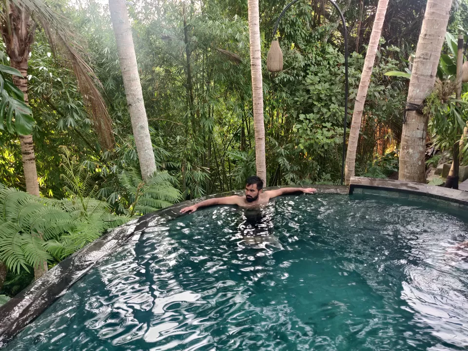 Photo of Ubud tropical, Ubud, Gianyar, Bali, Indonesia by Mayank Chhabra