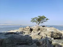 Photo of A Hidden Gem in Guwahati : Lonely Tree by Niraj Sahani