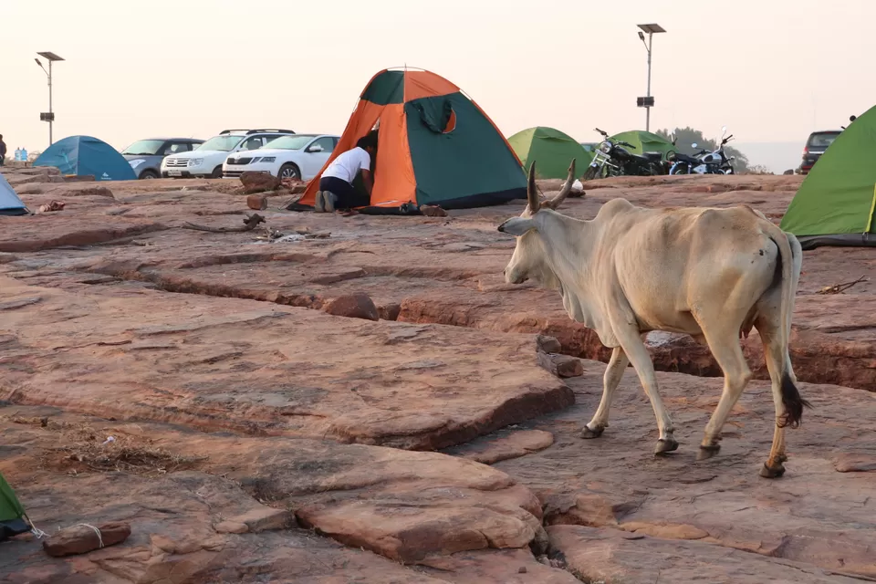 Photo of Gandikota, Andhra Pradesh, India by VivEk V NaIr