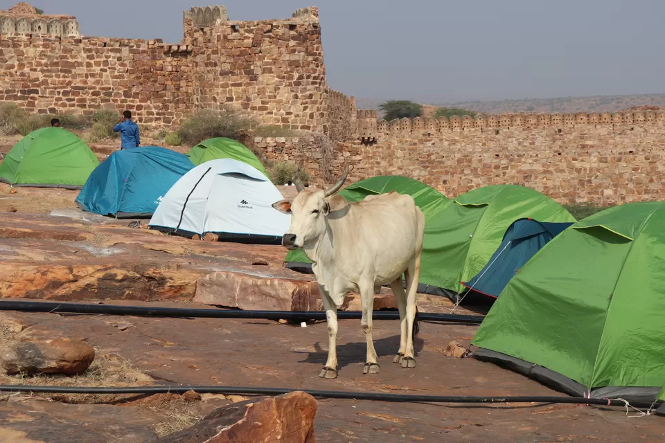 Photo of Gandikota, Andhra Pradesh, India by VivEk V NaIr