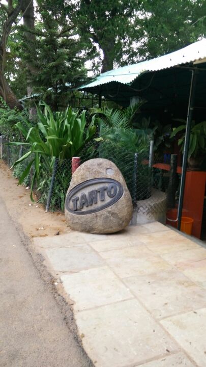 Photo of Wandering in Pondicherry 1/19 by Karl Gomes