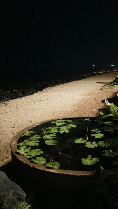 Photo of Wandering in Pondicherry 15/19 by Karl Gomes