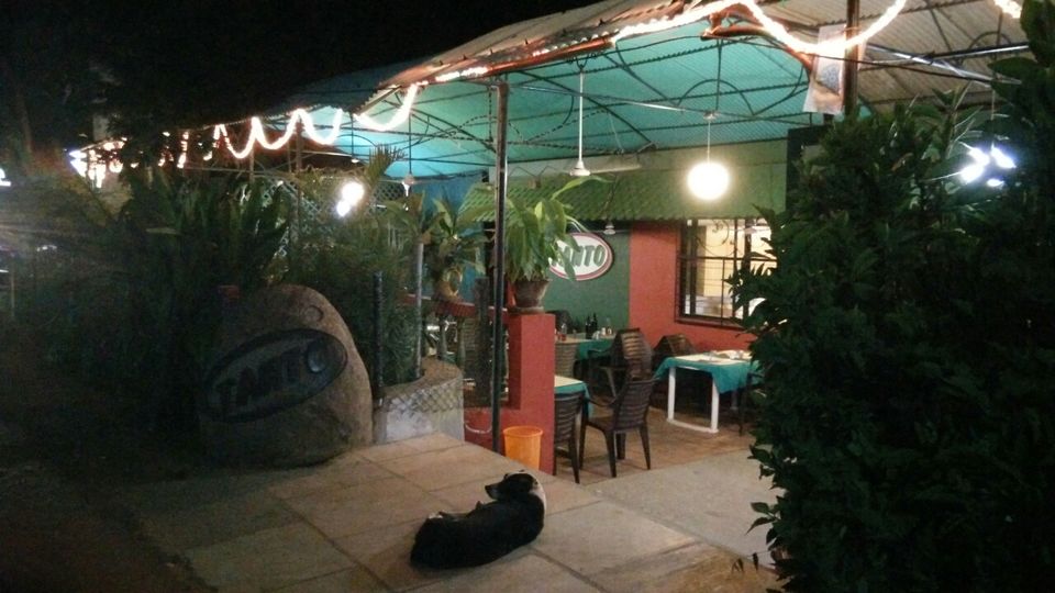 Photo of Wandering in Pondicherry 16/19 by Karl Gomes