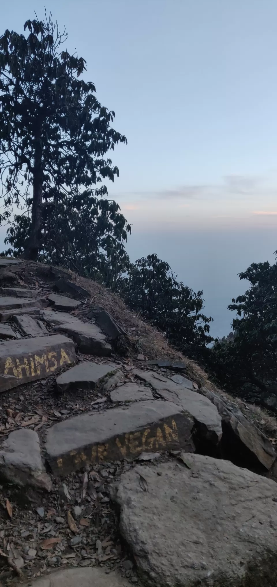 Photo of The bro anthem - 3 days in Dharamkot by Rohan Desai