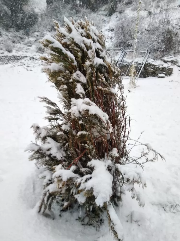 Photo of Dhanaulti, A little Paradise in winters. by Ujjwal Jha