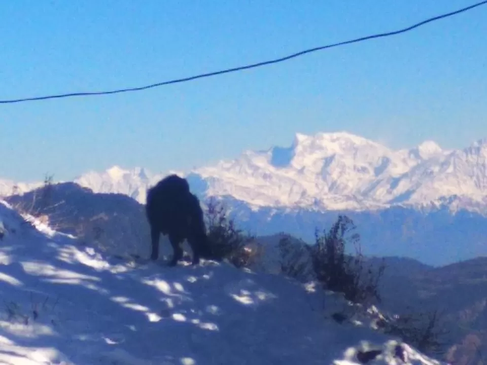 Photo of Dhanaulti, A little Paradise in winters. by Ujjwal Jha