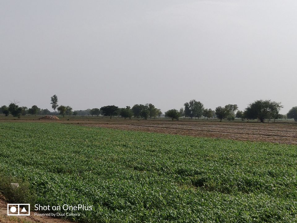 Photo of Into the heart of Punjab - Amritsar by Aashish Chandna