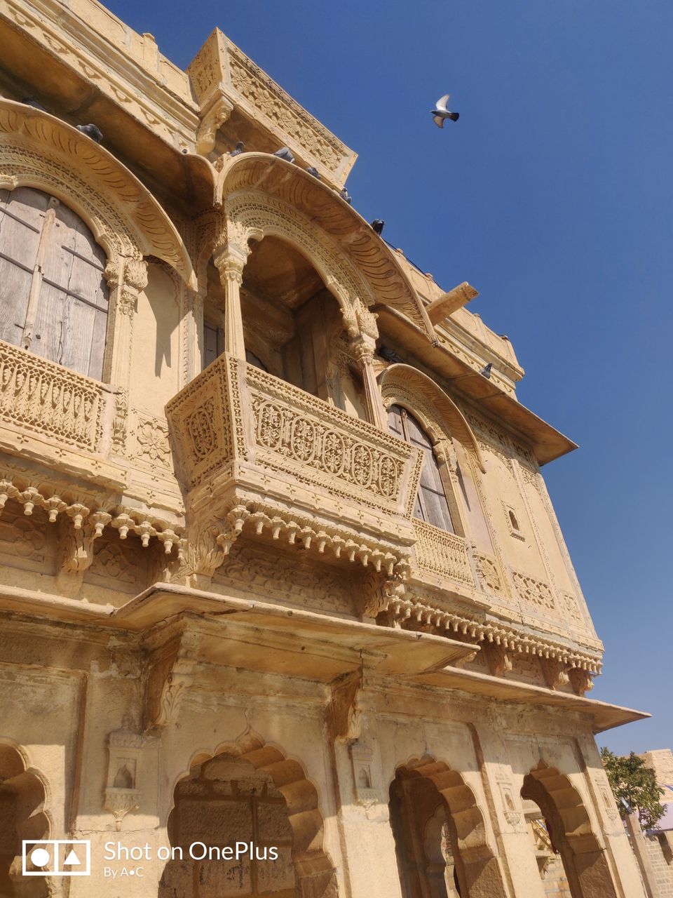 Photo of La D'or Ville by Aashish Chandna