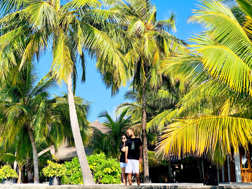 Photo of An Island in the Maldives by Tanya Raina