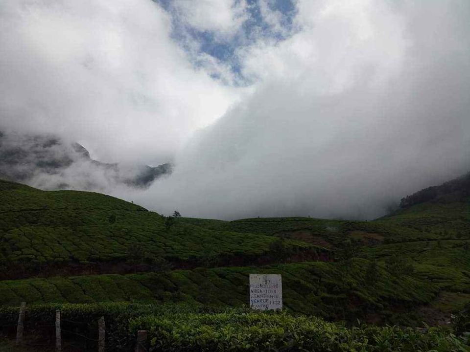 Photo of Munnar, Kerala, India by Geetanjali Karande