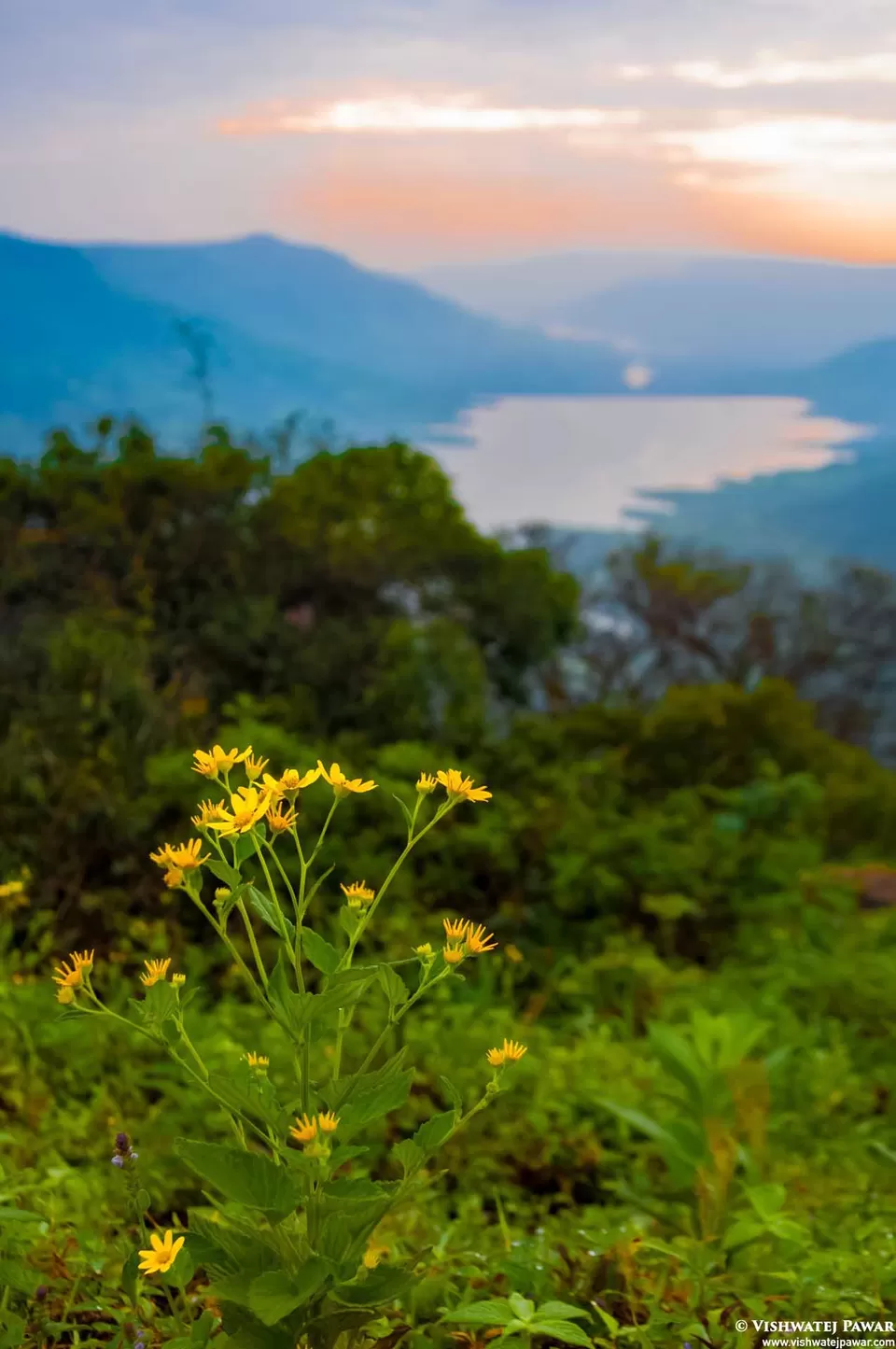 Photo of Advait Valley Camp, Kshetra Mahabaleshwar, Mahabaleshwar, Maharashtra, India by Vishwatej Pawar