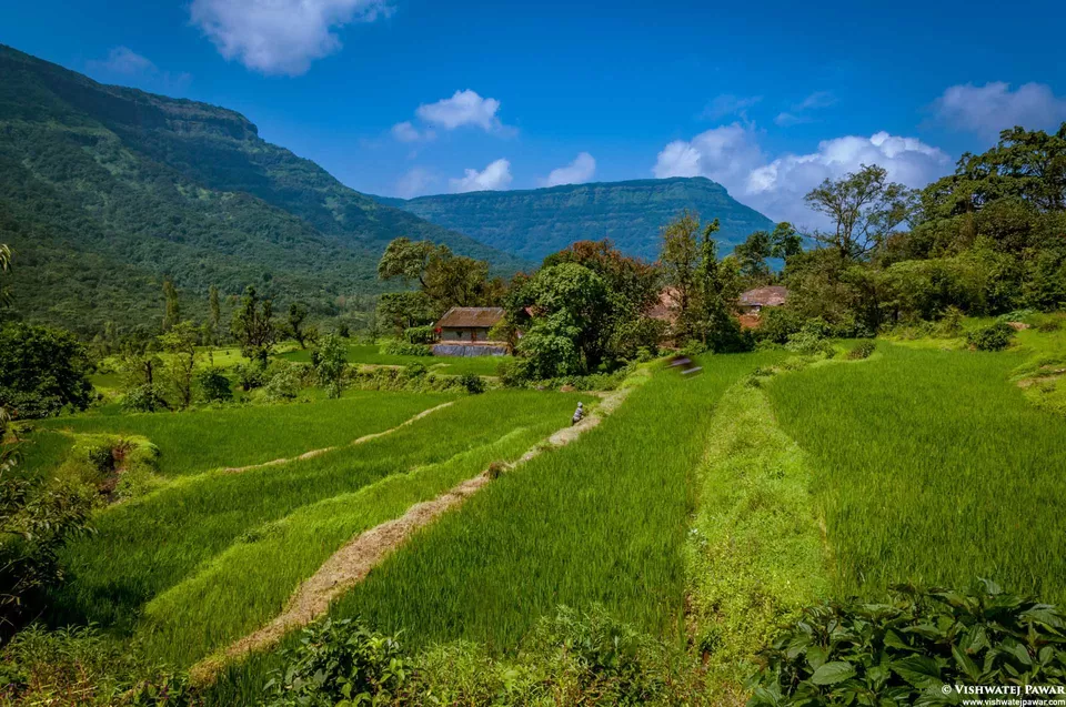 Photo of Ramsukh Hotel Resorts and Spa Mahabaleshwar, 4 Star Hotel, Mahabaleshwar, Maharashtra, India by Vishwatej Pawar