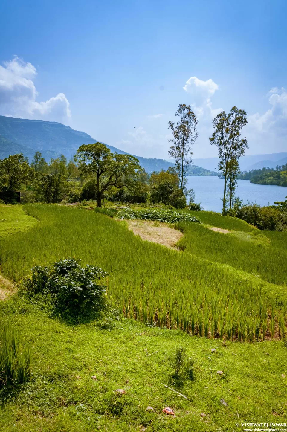 Photo of Ramsukh Hotel Resorts and Spa Mahabaleshwar, 4 Star Hotel, Mahabaleshwar, Maharashtra, India by Vishwatej Pawar