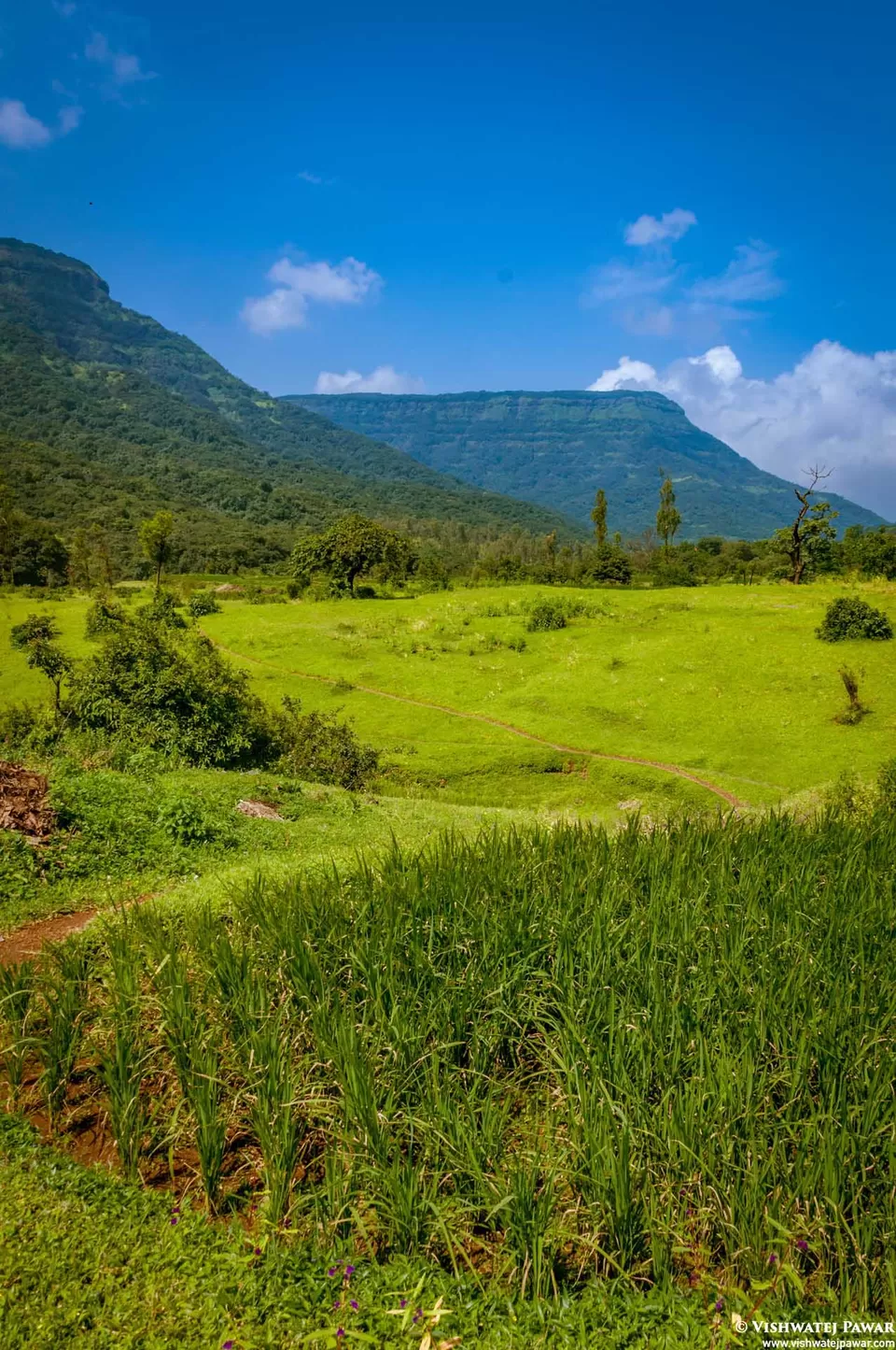 Photo of Ramsukh Hotel Resorts and Spa Mahabaleshwar, 4 Star Hotel, Mahabaleshwar, Maharashtra, India by Vishwatej Pawar
