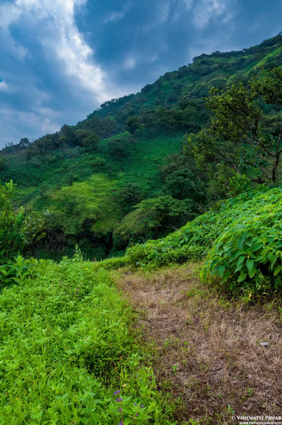 Photo of Ramsukh Hotel Resorts and Spa Mahabaleshwar, 4 Star Hotel, Mahabaleshwar, Maharashtra, India by Vishwatej Pawar