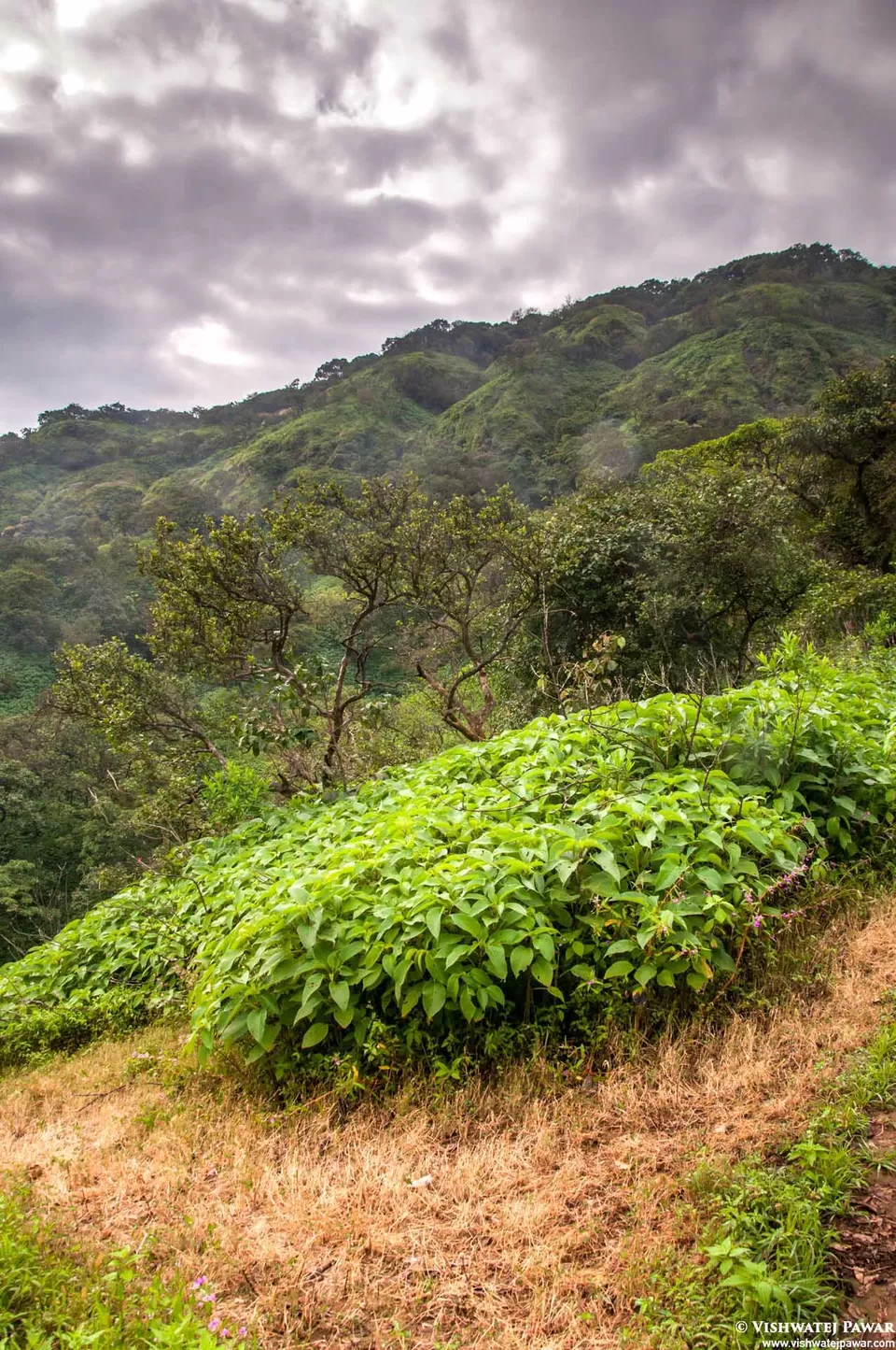 Photo of Ramsukh Hotel Resorts and Spa Mahabaleshwar, 4 Star Hotel, Mahabaleshwar, Maharashtra, India by Vishwatej Pawar