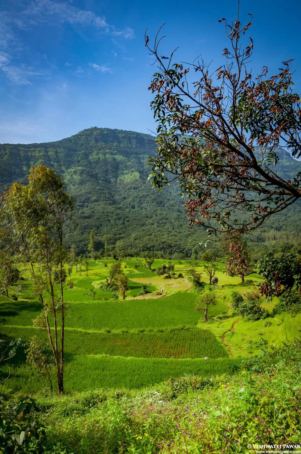 Photo of Ramsukh Hotel Resorts and Spa Mahabaleshwar, 4 Star Hotel, Mahabaleshwar, Maharashtra, India by Vishwatej Pawar