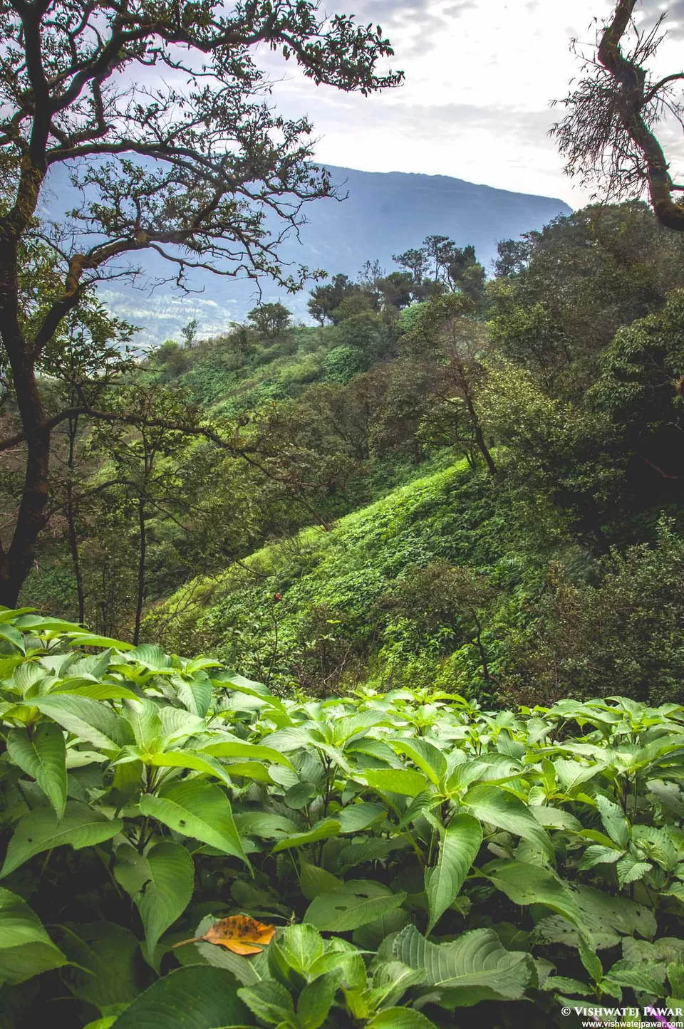 Photo of Ramsukh Hotel Resorts and Spa Mahabaleshwar, 4 Star Hotel, Mahabaleshwar, Maharashtra, India by Vishwatej Pawar