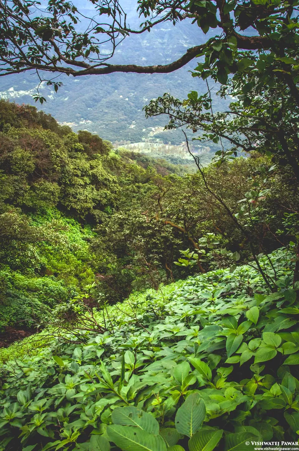 Photo of Ramsukh Hotel Resorts and Spa Mahabaleshwar, 4 Star Hotel, Mahabaleshwar, Maharashtra, India by Vishwatej Pawar