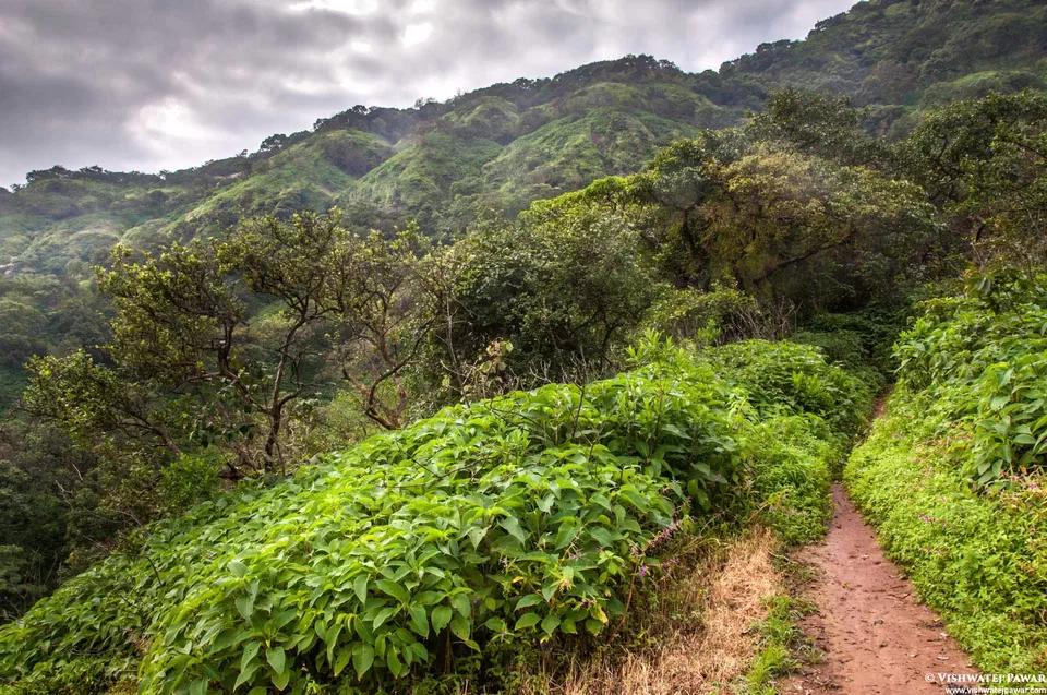 Photo of Ramsukh Hotel Resorts and Spa Mahabaleshwar, 4 Star Hotel, Mahabaleshwar, Maharashtra, India by Vishwatej Pawar