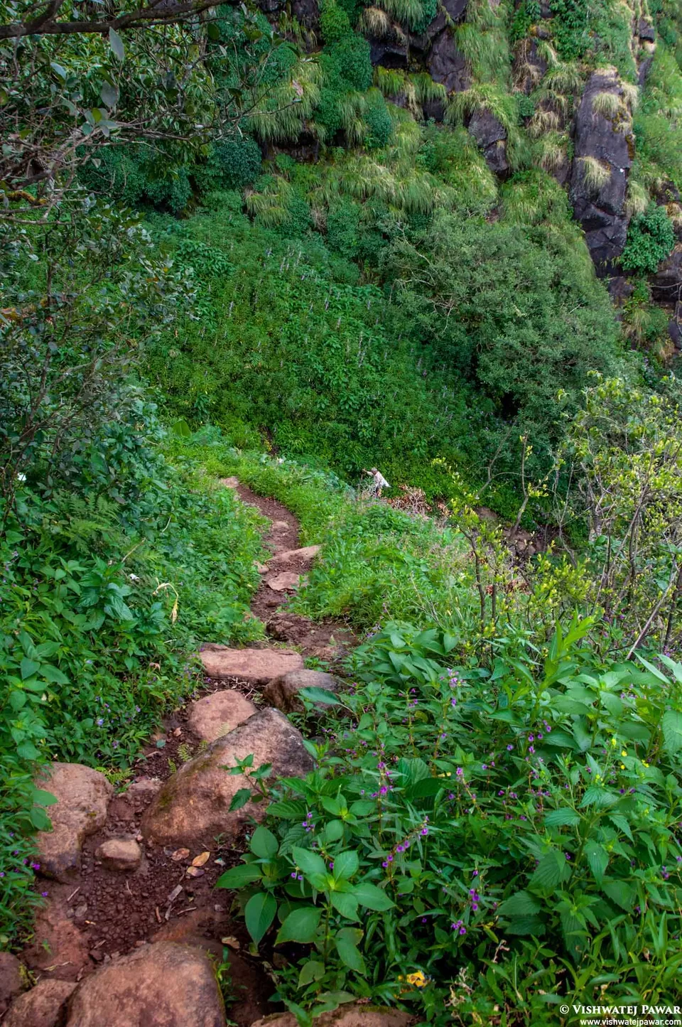 Photo of Ramsukh Hotel Resorts and Spa Mahabaleshwar, 4 Star Hotel, Mahabaleshwar, Maharashtra, India by Vishwatej Pawar