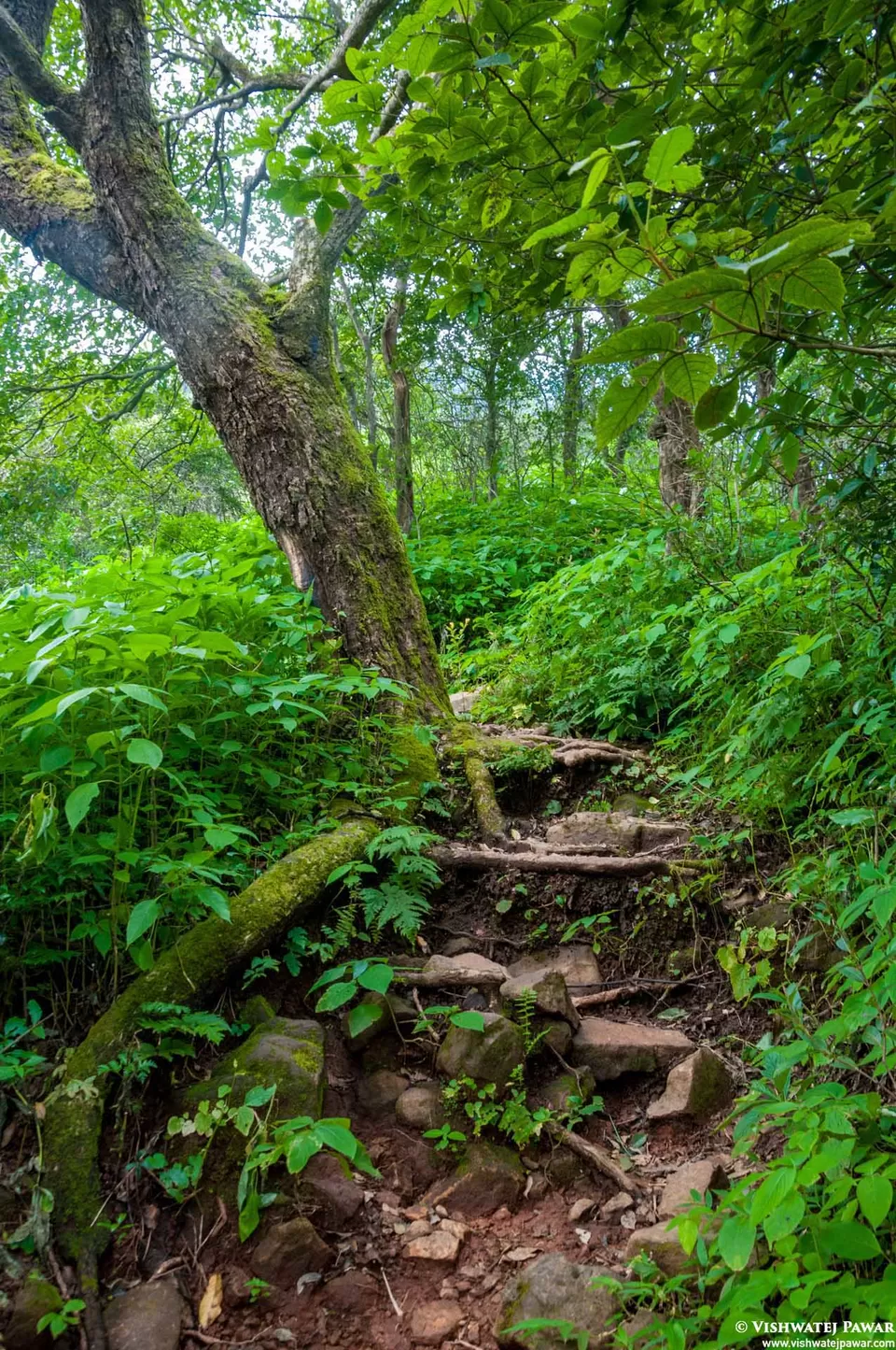 Photo of Ramsukh Hotel Resorts and Spa Mahabaleshwar, 4 Star Hotel, Mahabaleshwar, Maharashtra, India by Vishwatej Pawar