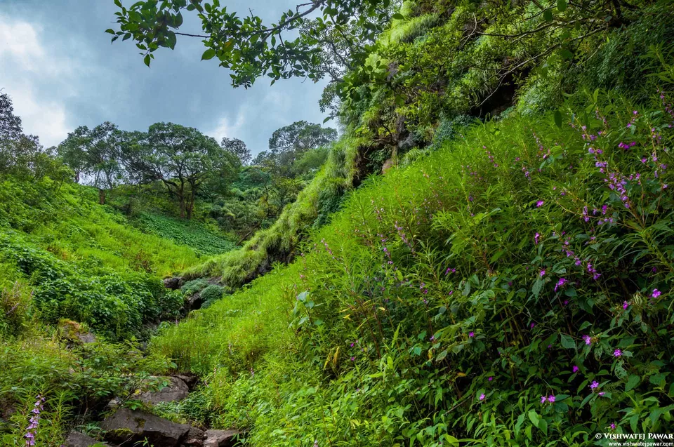 Photo of Ramsukh Hotel Resorts and Spa Mahabaleshwar, 4 Star Hotel, Mahabaleshwar, Maharashtra, India by Vishwatej Pawar