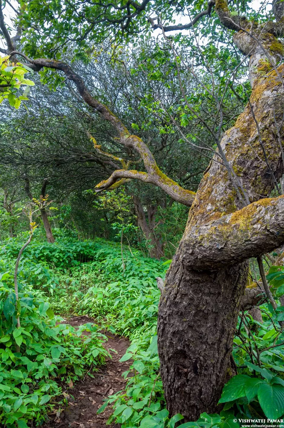 Photo of Ramsukh Hotel Resorts and Spa Mahabaleshwar, 4 Star Hotel, Mahabaleshwar, Maharashtra, India by Vishwatej Pawar
