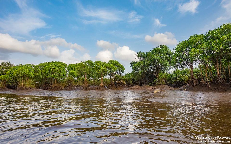 Photo of Maldoli Crocodile Safari, Chiplun, Maldoli, Maharashtra, India by Vishwatej Pawar