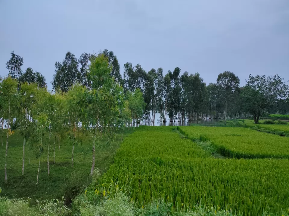 Photo of An unplanned trip to Sagarkatte by Shaikh Arif Mohd Mondal