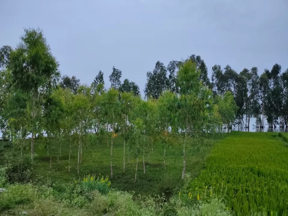 Photo of An unplanned trip to Sagarkatte by Shaikh Arif Mohd Mondal